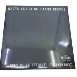 Waves Crashing Piano Chords LP It Turns Me On Because It Shouldn't Black Vinyl